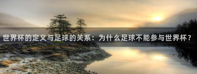 2026世界杯中国队:世界杯的定义与足球的关系:为什么足球不能参与世界杯?