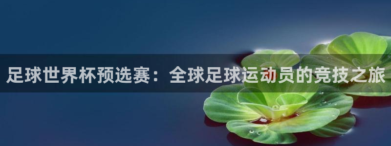 世界杯预选赛直播:足球世界杯预选赛:全球足球运动员的竞技之旅